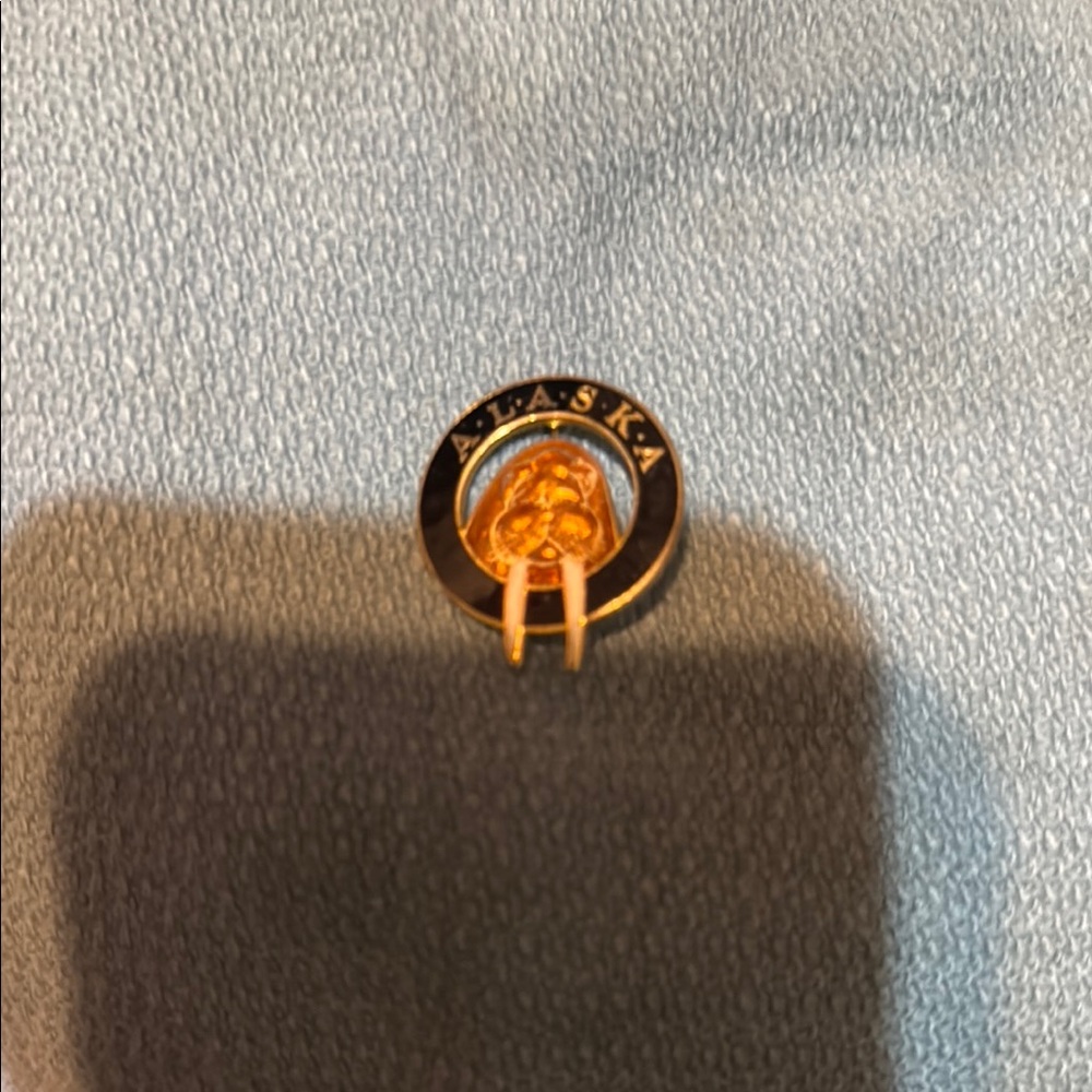 Alaska Souvenir Pin with Gold and Black Design Walrus